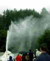 Lady Knox Geyser

Trip: New Zealand
Entry: Geyser Land
Date Taken: 03 Mar/03
Country: New Zealand
Viewed: 1053 times